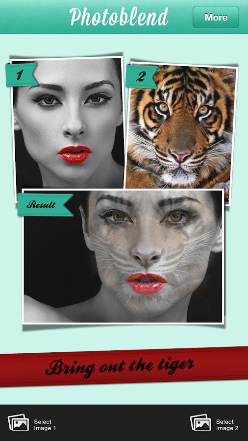    Photoblend Pro- screenshot  