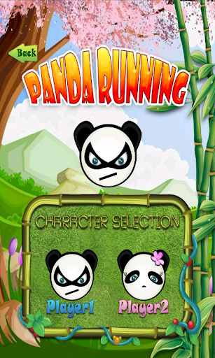 Panda Running