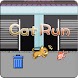 Cat Run