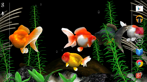 Gold Fish 3D