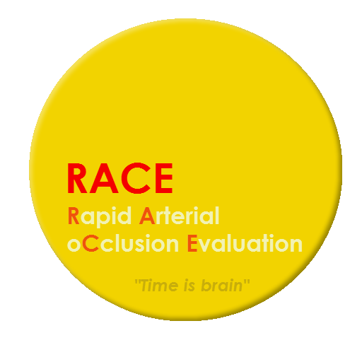 Escala RACE LOGO-APP點子