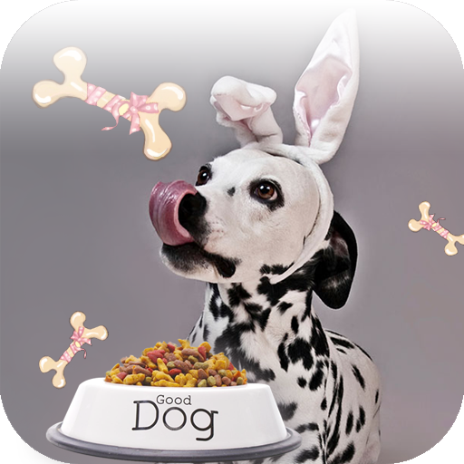 斑点狗的食物 個人化 App LOGO-APP開箱王