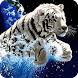 3D Tiger icon