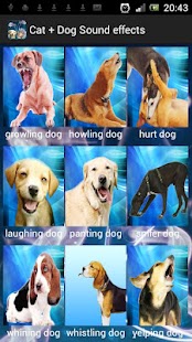 How to download Cat + Dog Sound effects 1.8 mod apk for laptop