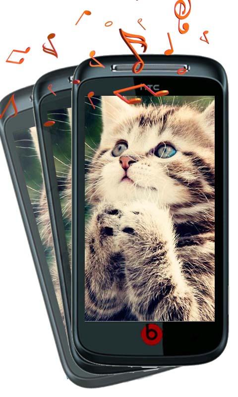 Kat geluid Kitty geluid Android Apps op Google Play