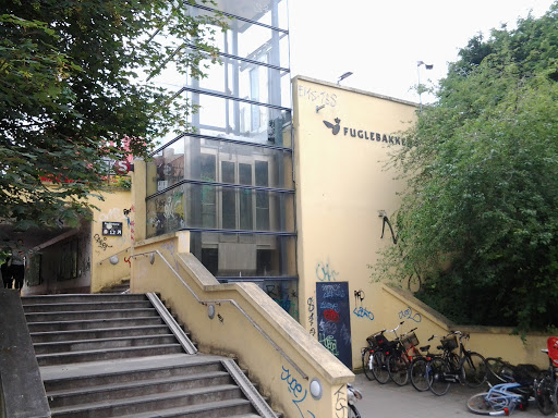 Fuglebakken Station
