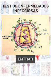 infectious diseases test poster 7
