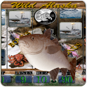 Wild Alaska Vegas Slot Machine