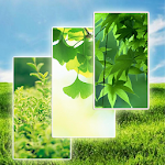 Green Wallpapers 1 Apk