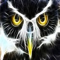 3D lovely Owl