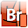 Shortcuts for Bridge Download on Windows