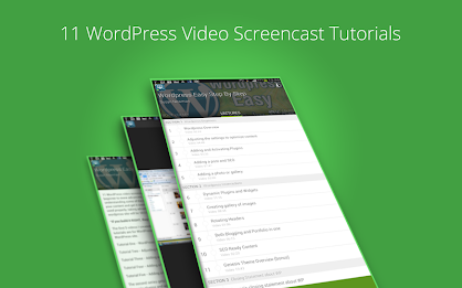 Learn Wordpress SEO poster 8