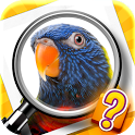 Zoom Quiz icon