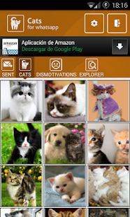 Pet Holidays » The easy way to make and share holiday pet photos.