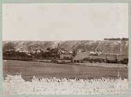 Heuvellandschap met huizen