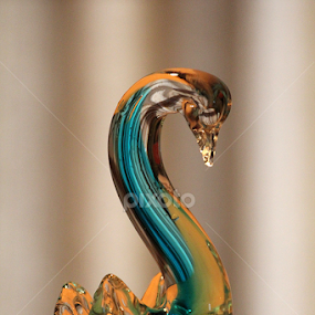 by Murshalin Ahmed - Artistic Objects Glass