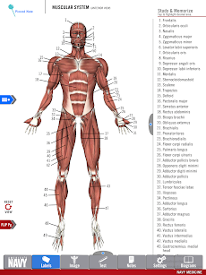 Anatomy Study Guideのおすすめ画像4