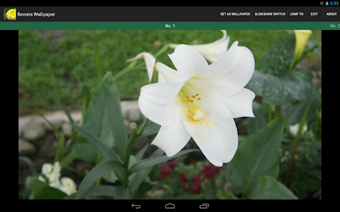 Flowers Wallpaper Screenshots 0