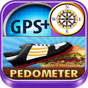 Pedometer