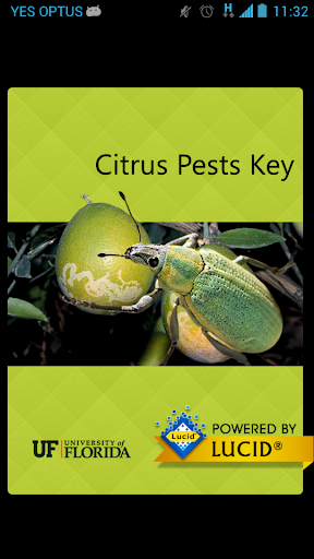 Citrus Pests Key