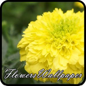 Flowers Wallpaper 1.2