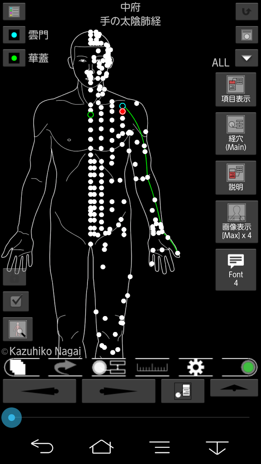 Acupuncture (Nagomi · Pro) Screen 3