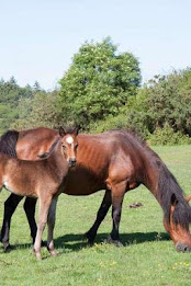 corner puzzle poster 2