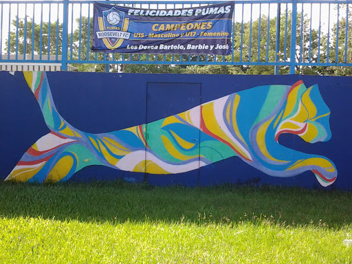puma graffiti mod