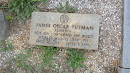James Oscar Putman Sgt Col 1 36 Armd Inf Regt World War II Bsm Ph 1913-1956
