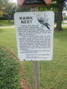 Kite Hawk Plaque. 
