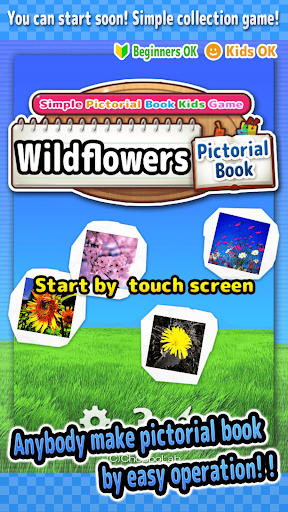 Wildflowers -Simple Pic Book-