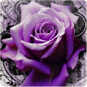 3D Roses  wallpaper