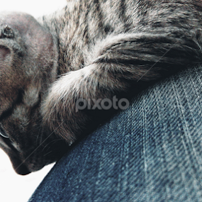 by Rahul Joshi - Instagram & Mobile Android