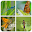 Insect Matching Game Download on Windows