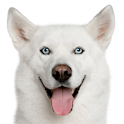 Dog Bite Prevention logo