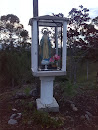 Virgen Del Ojito 