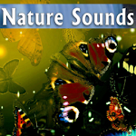 Cover Image of Скачать RELAXING NATURE SOUNDS 0.19.13167.00819 APK