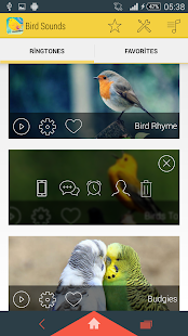 How to download Bird Sounds Ringtones lastet apk for pc