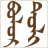 Bolor dictionary icon