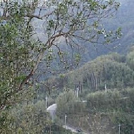 數碼天空景觀餐廳