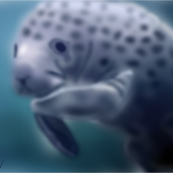 Manatee Â» drawings Â» SketchPort