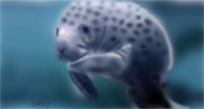 Manatee