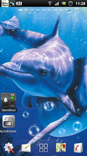 free dolphin live wallpaper