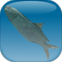 School of Sardines logo