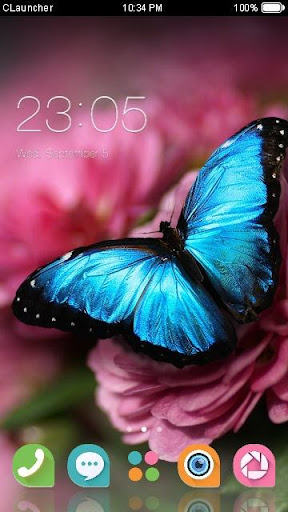 Flower and Butterfly Theme