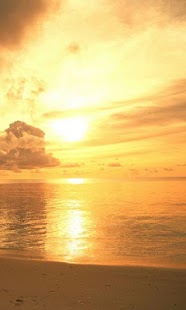 Lastest Evening surf live wallpaper APK for Android