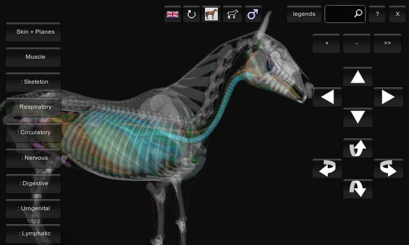 Real Anatomy  Software
