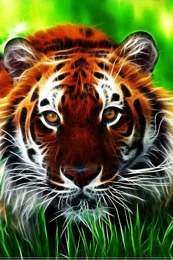 【免費娛樂App】Tiger Wallpaper-APP點子