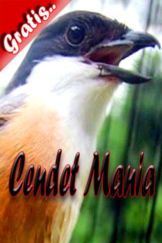 Cendet Mania Apk 1 0 Download Free Video Players Editors Apk Download