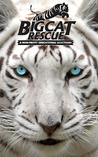 Big Cat Rescue Screenshots 0